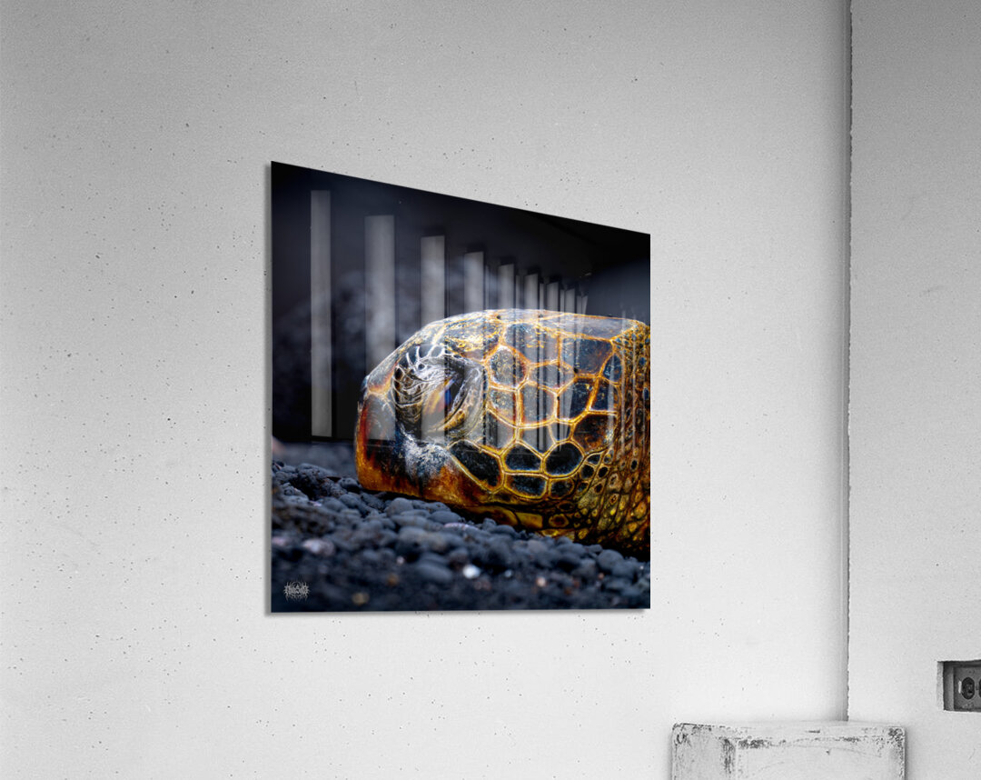 Called in Slick Acrylic Print