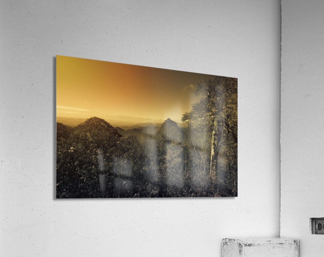 Smoky Mountains Forest Overlook Acrylic Print