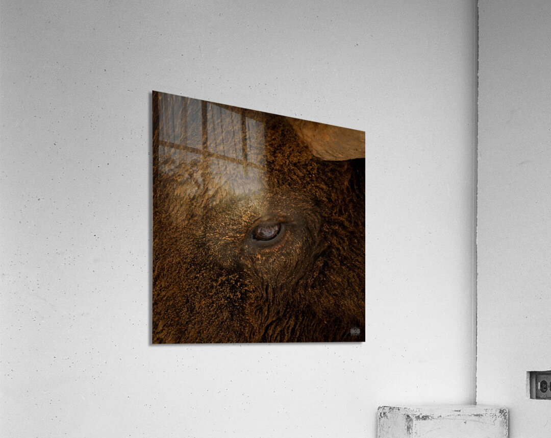 Eye of the Storm Acrylic Print