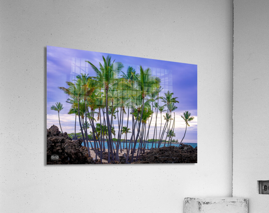 From the Ashes Acrylic Print