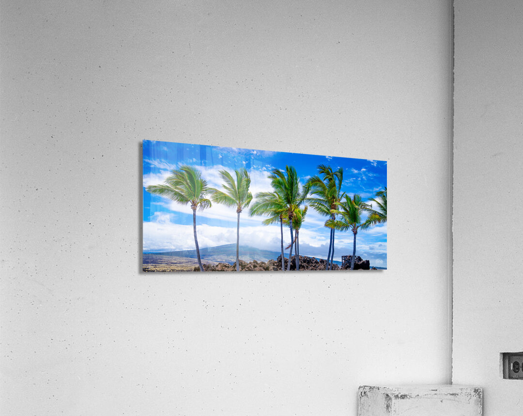 HualaLiars Acrylic Print