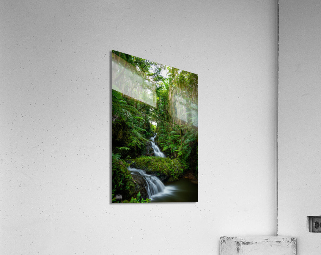 Now You Are Like Me Acrylic Print