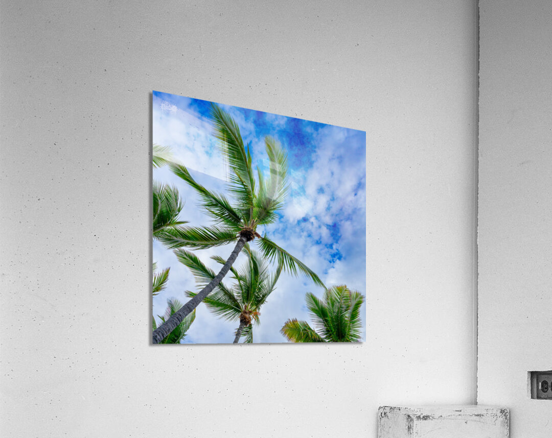 Palm Reader Acrylic Print