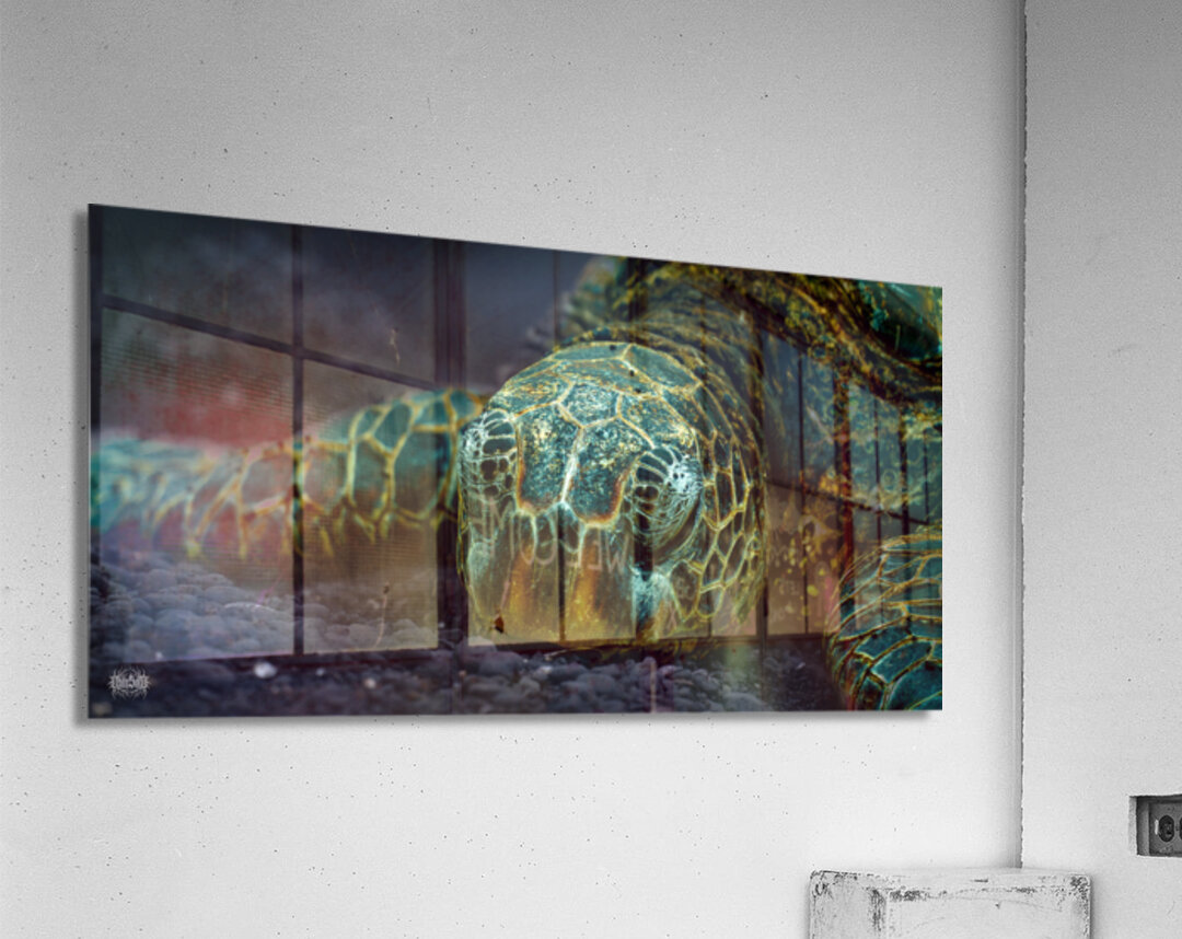 The Hare Can Have It Acrylic Print