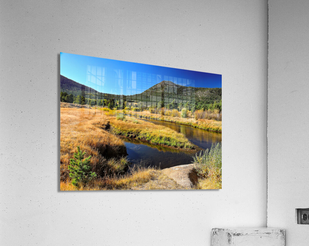Lake Tahoe Desert Grass Marsh Acrylic Print