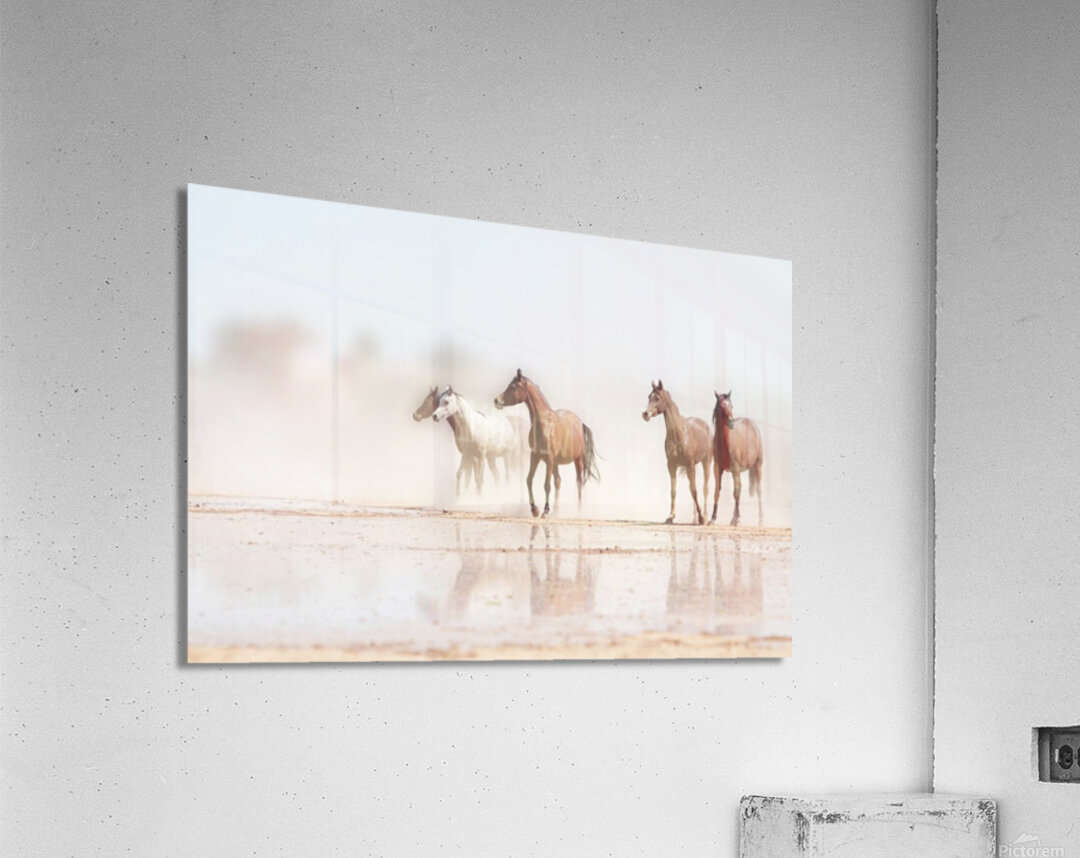 Desert Horses Acrylic Print