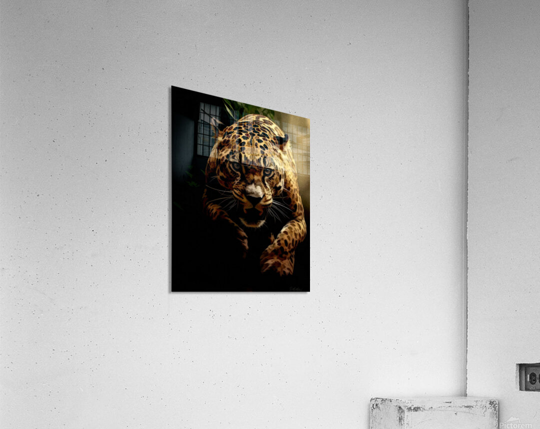 Jaguar on the Hunt  Acrylic Print
