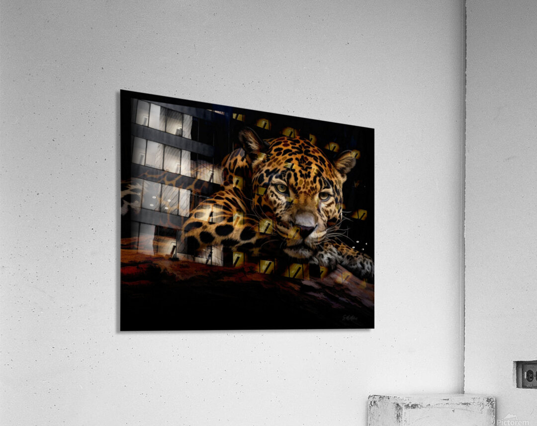 Resting Jaguar Acrylic Print