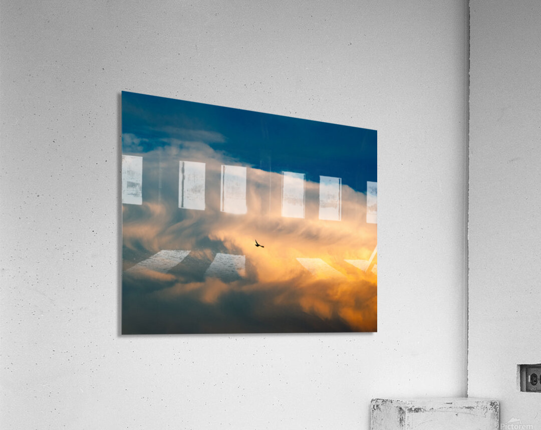 Free Bird Acrylic Print