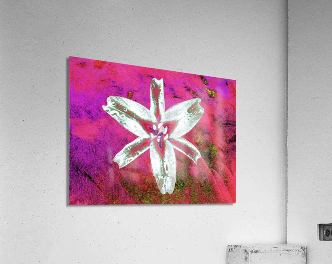 Abstract Contrasting Stunning Lily Flower Acrylic Print