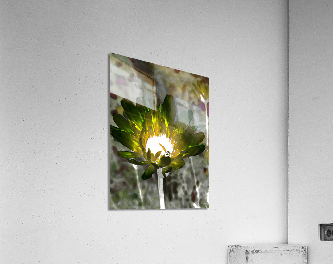 Abstract Impressionistic Glowing Illuminated Daisy Flower Acrylic Print