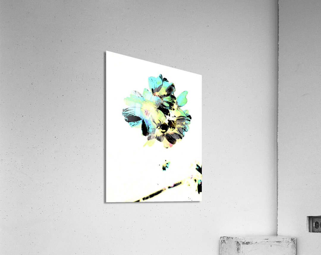   Abstract Contrasting Marshmallow Flowers Acrylic Print