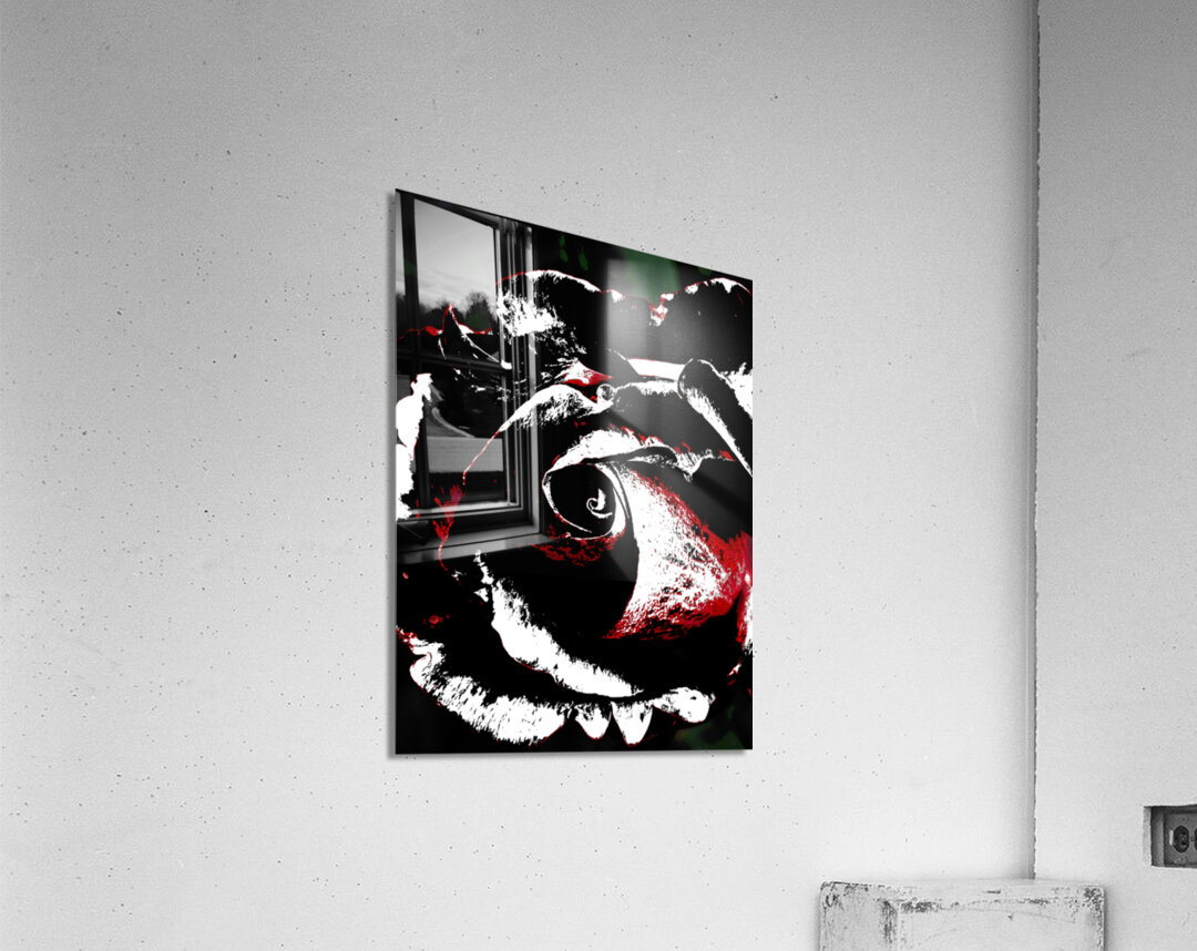 Abstract Impressions of a Rose  Acrylic Print