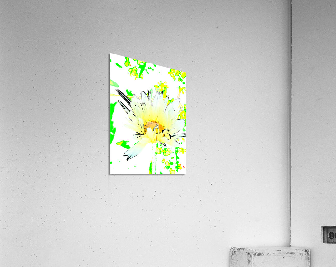 Abstract Summer Daisy Flower with a Yellow Centre Acrylic Print
