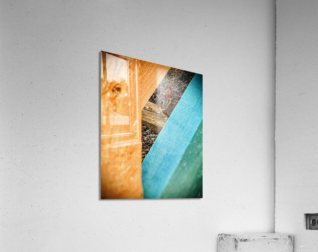 Bunnyette Acrylic Print