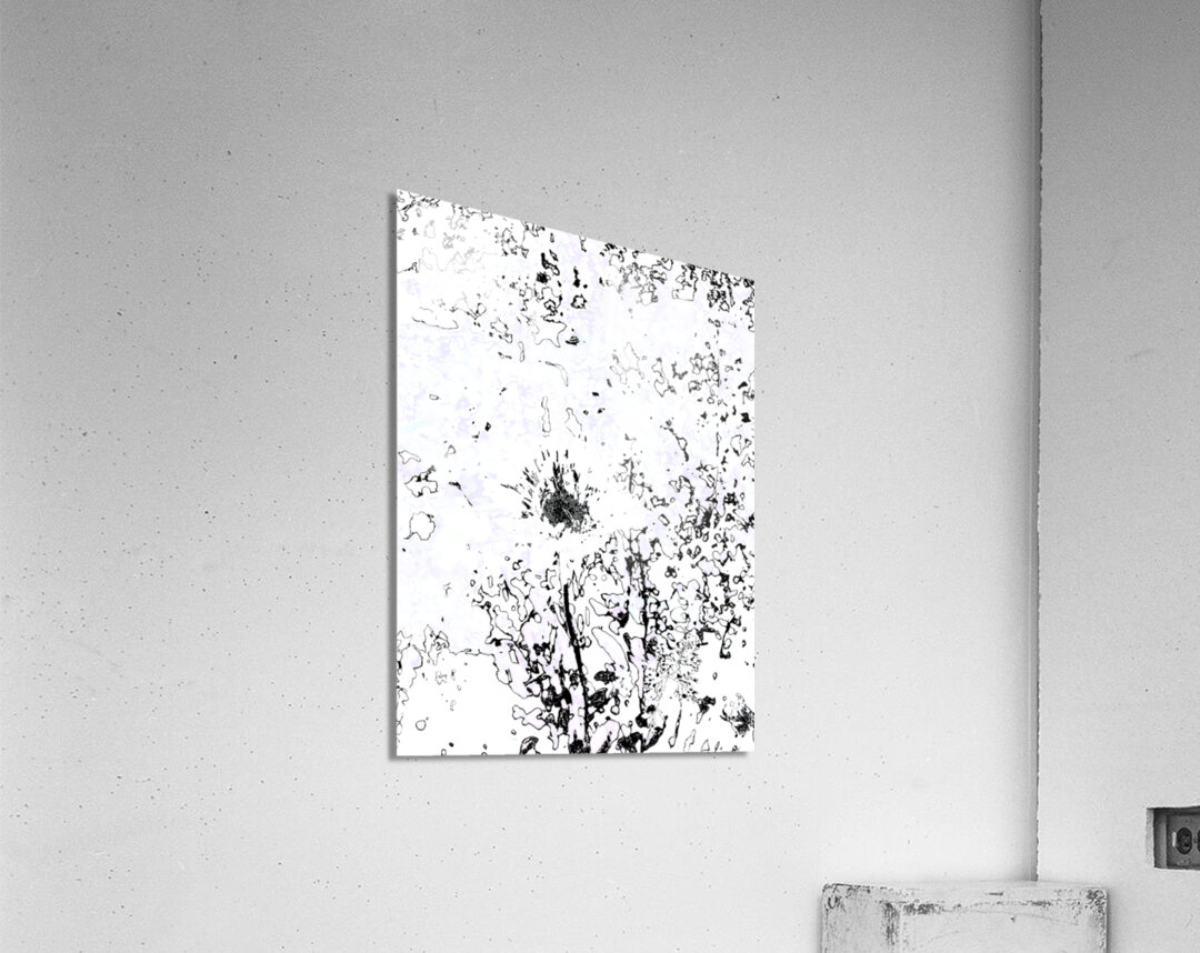 Abstract Monochrome Daisy Flower Acrylic Print