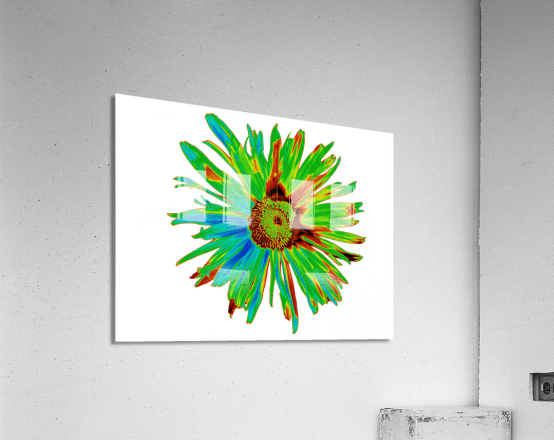 Abstract Neon Psychedelic Daisy Flower Acrylic Print
