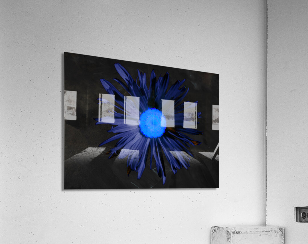  Abstract Blue Centred Daisy on a Dark Background Acrylic Print