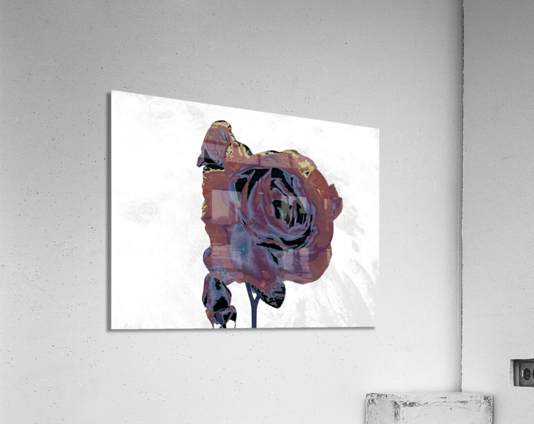 Abstract Dramatic  Rose Acrylic Print