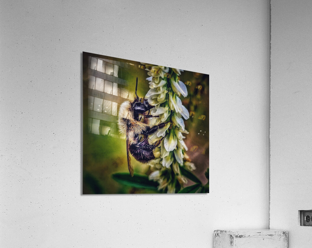 Petal Perch - Maine Botanical Wall Art Impression acrylique