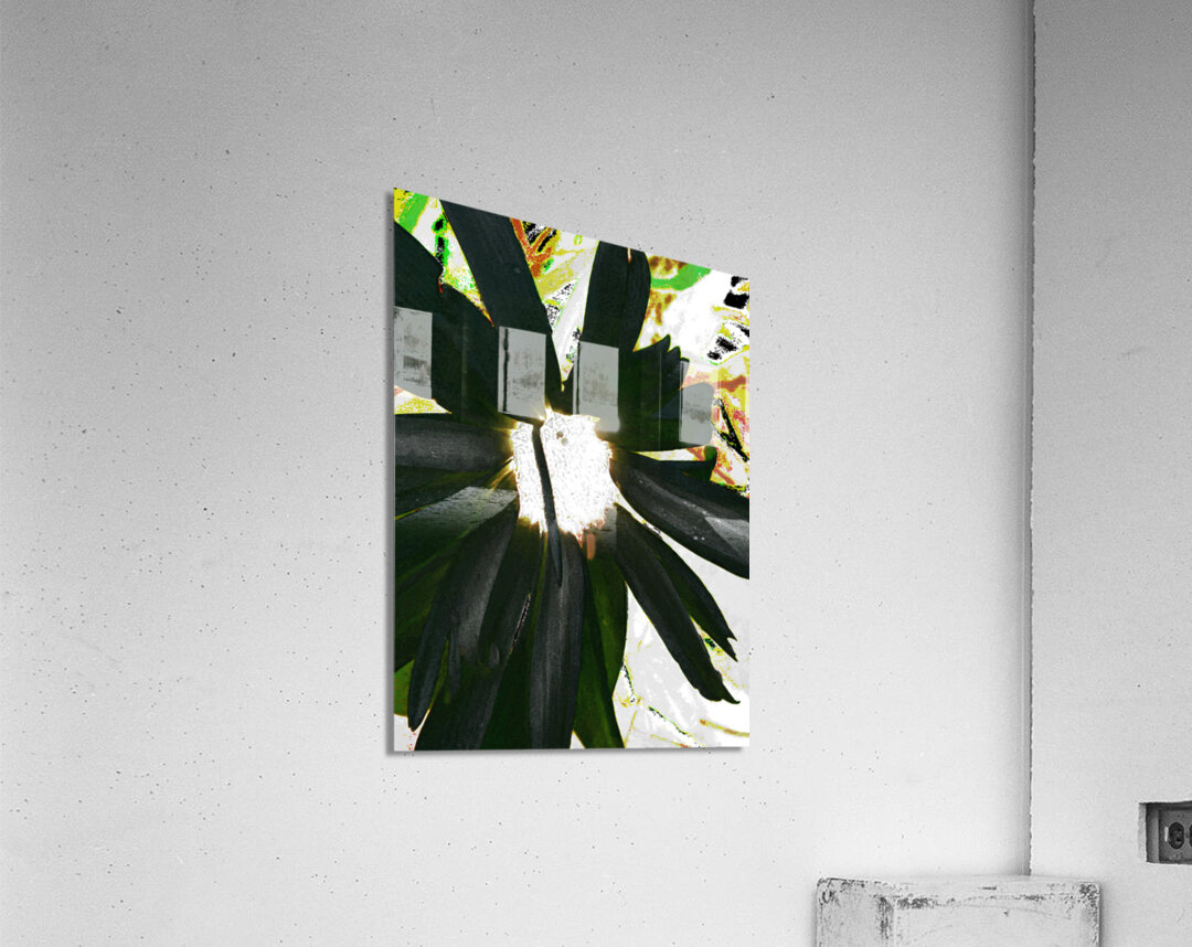 Abstract Dark Daisy  Acrylic Print