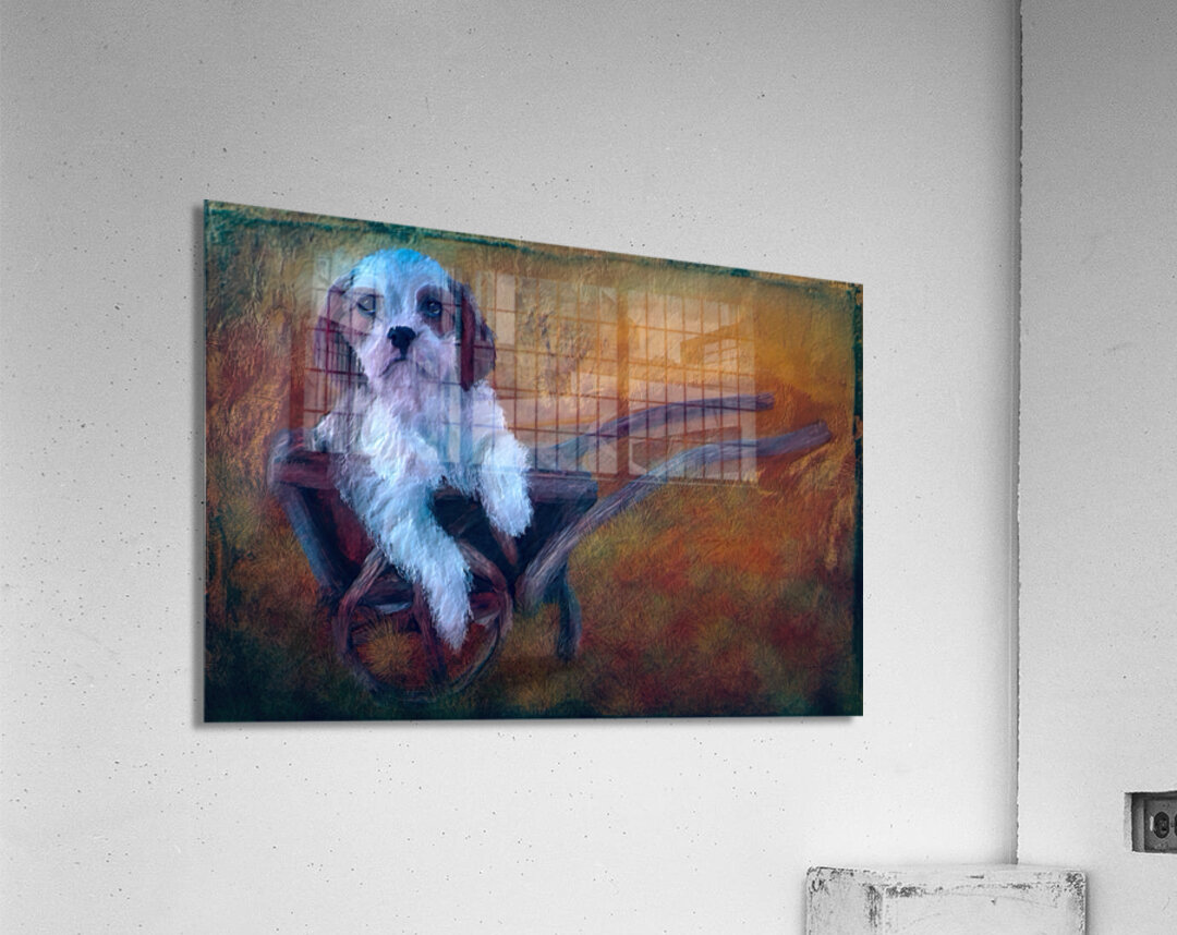 Waiting Acrylic Print