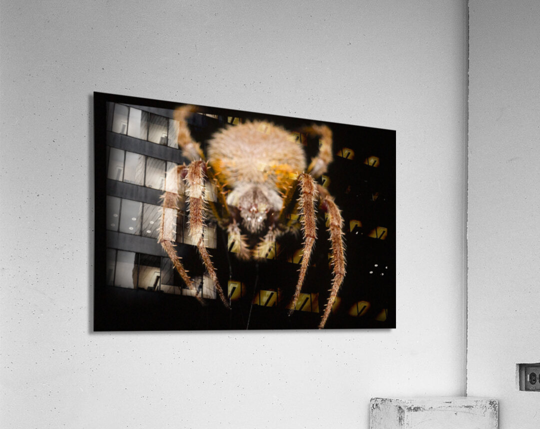 The Nocturnal Architect Acrylic Print