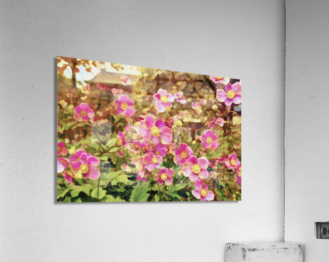 Fantastic Flowering Curb Appeal Acrylic Print