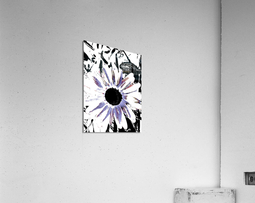 Abstract Large Blooming Daisy  Acrylic Print