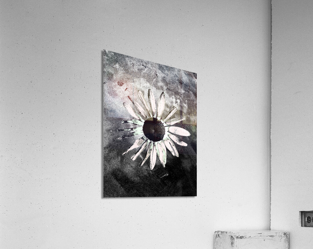 Abstract Single Daisy Acrylic Print