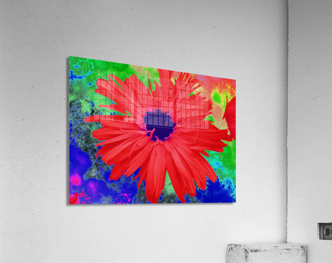 Abstract Psychedelic Daisy Acrylic Print