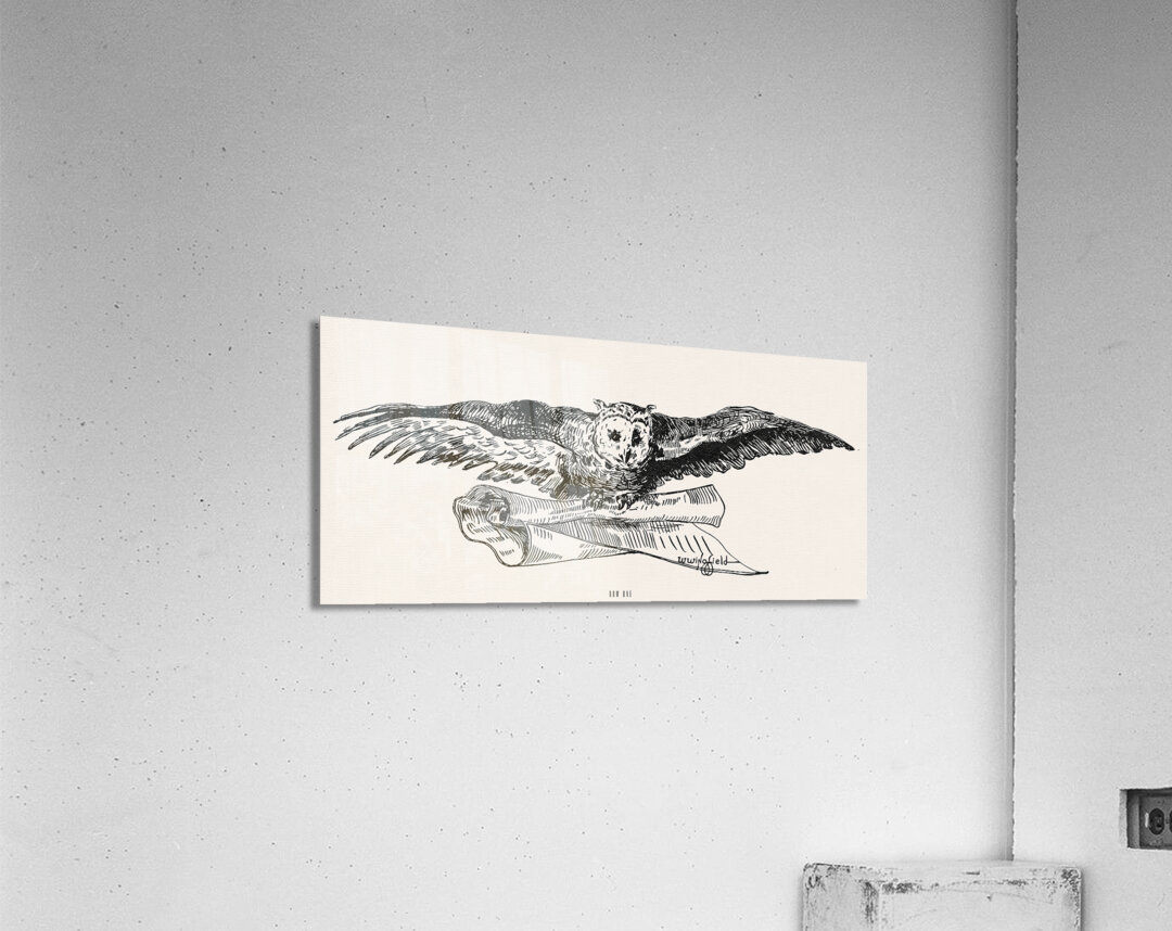 early 1900s owl wingfield Acrylic Print
