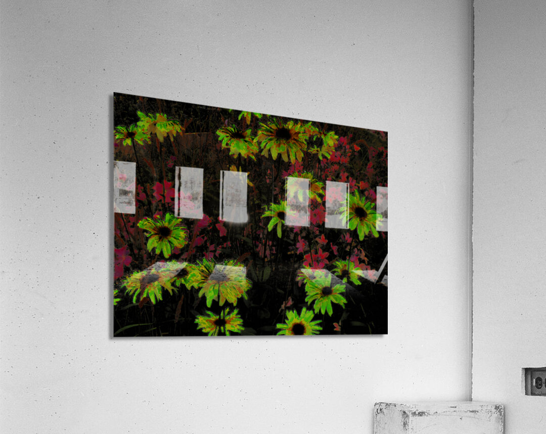 Abstract Surreal Daisy Garden Acrylic Print