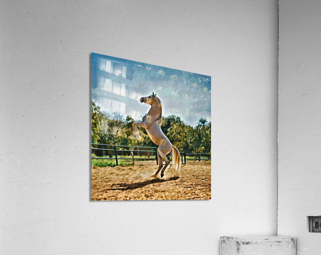 white horse oilpaint 3 Acrylic Print