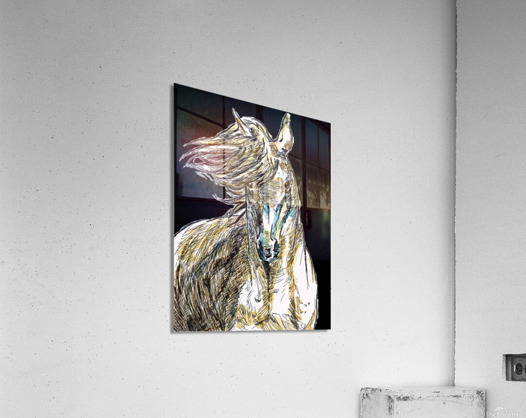 horse portrait 1 Acrylic Print