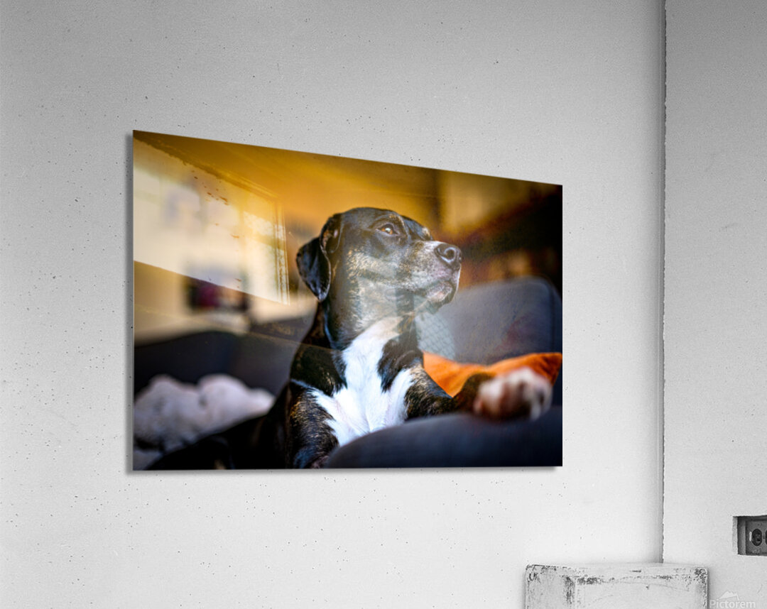 Z72 4022 Acrylic Print