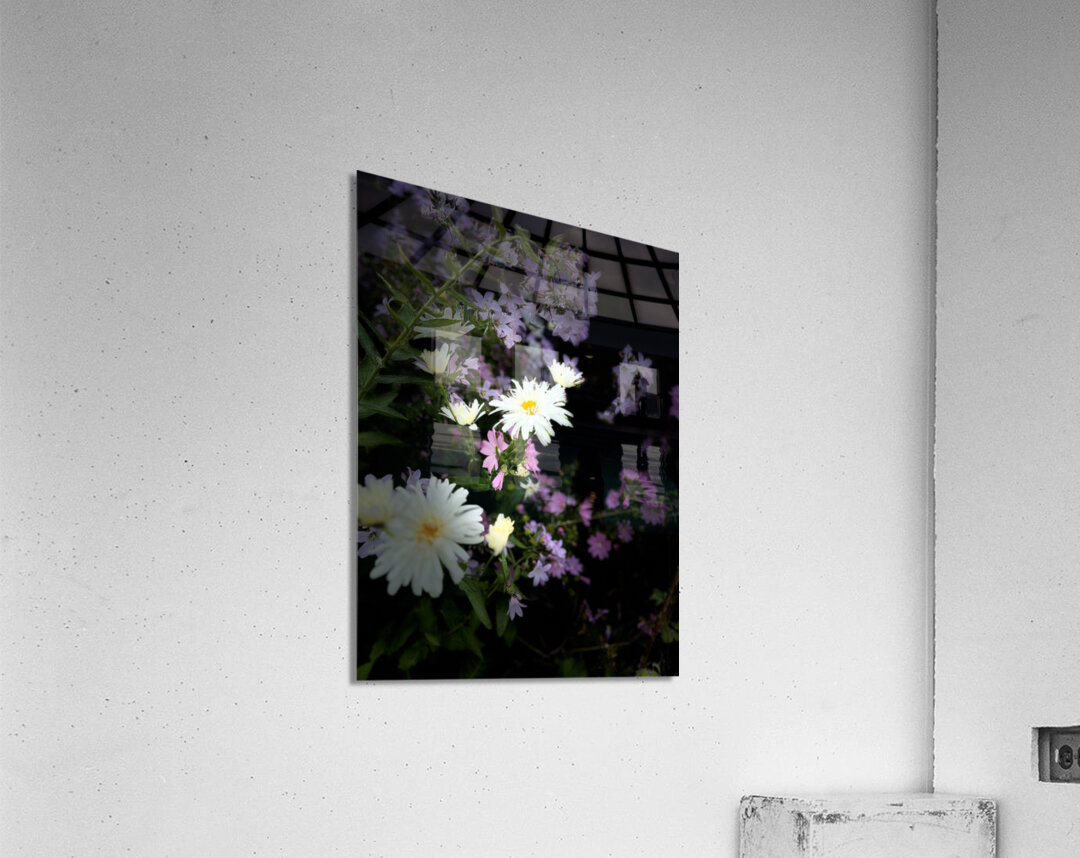 Cottage Garden in the Darkness Acrylic Print