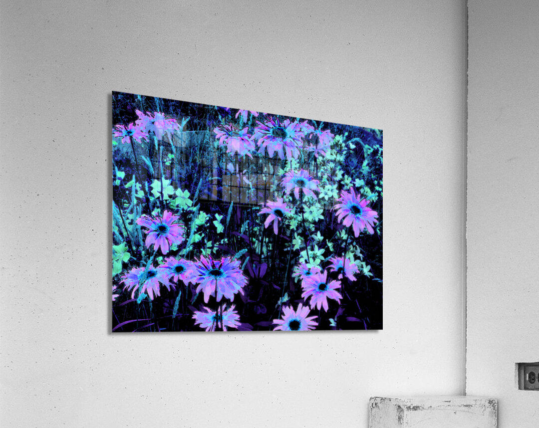 Impressionistic Vibrant Multitude of Daises Acrylic Print