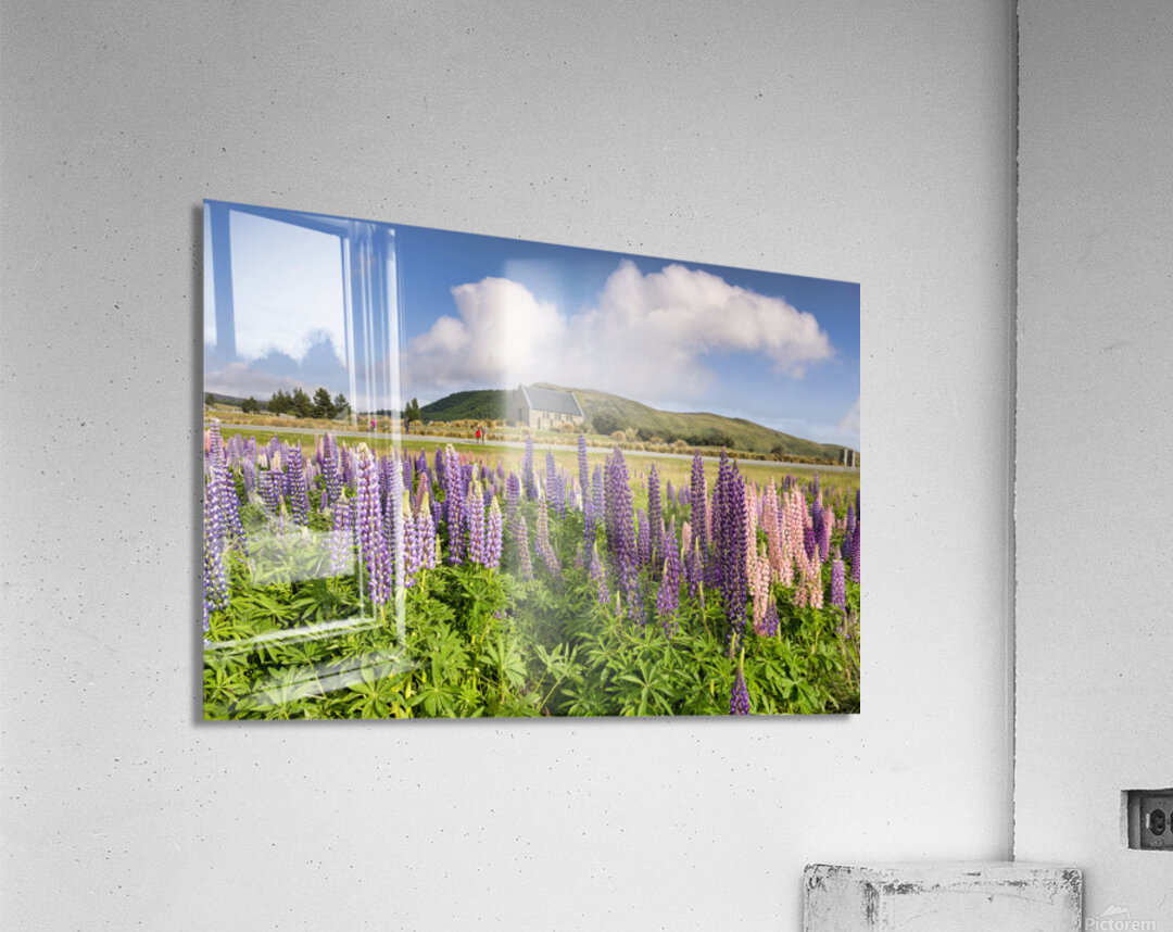 Lupins and Church of the Good Shepherd Tekapo New Zealand Acrylic Print