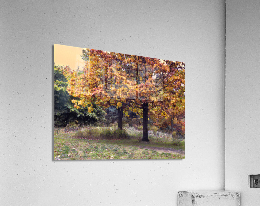 The Best of Friends in All Seasons Acrylic Print