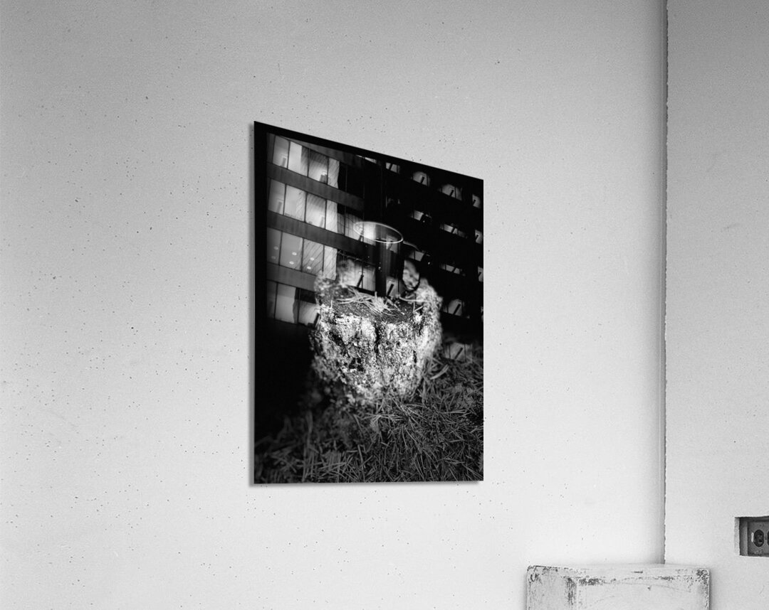 Scenes from the Trail- Mug in Black and White Acrylic Print