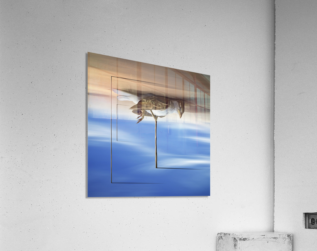 Avis Rara Acrylic Print