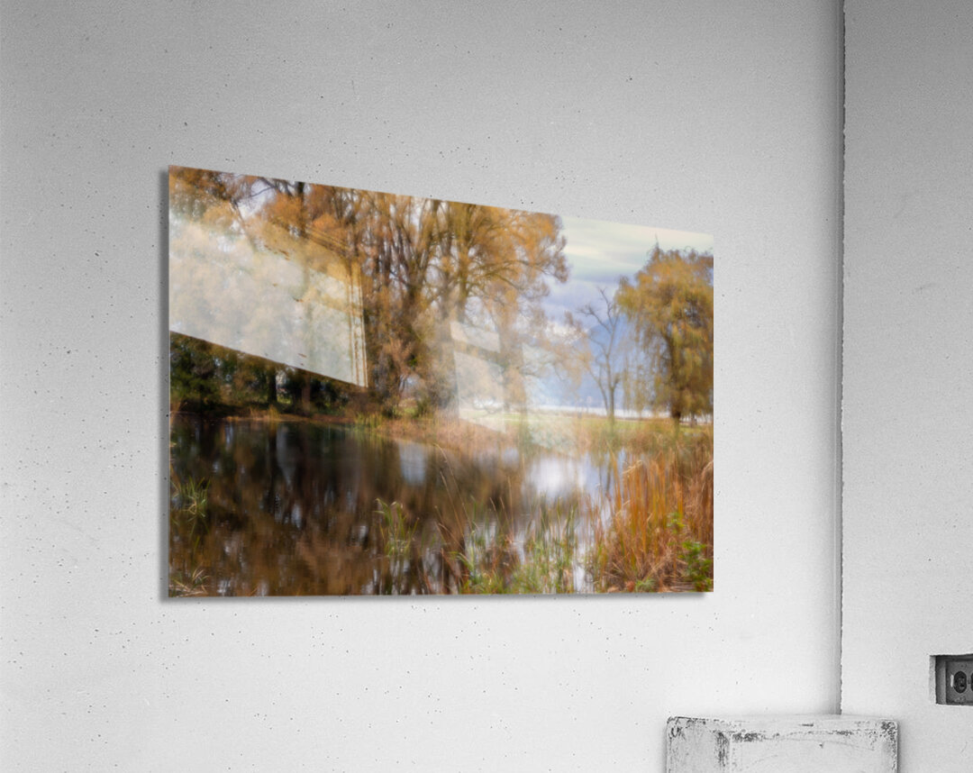 Autumn Glow Acrylic Print