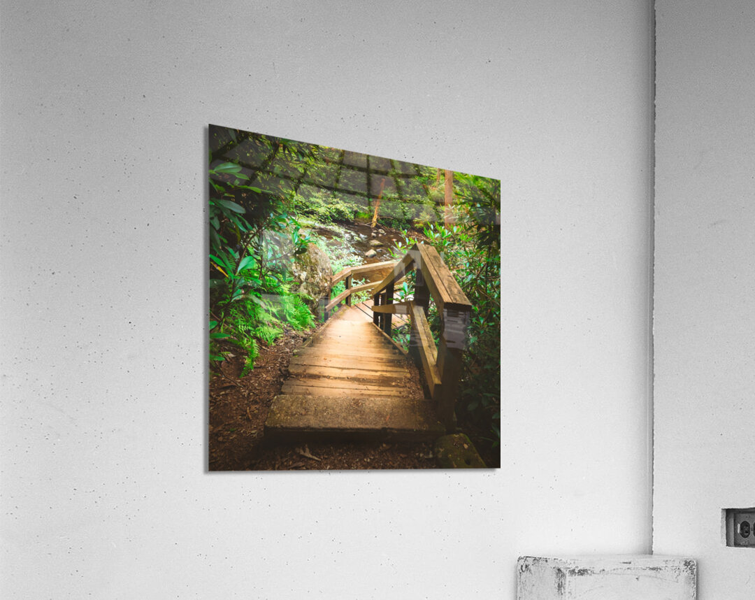 Wildcreek Cove Stairs Acrylic Print