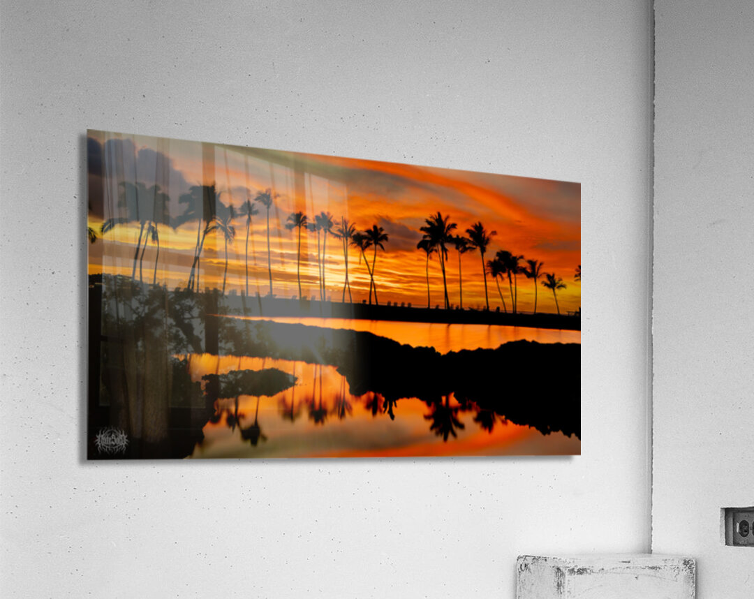 Why Koloa  Acrylic Print