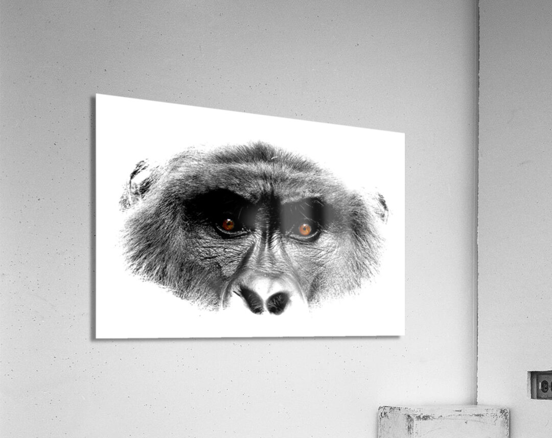 Gaze of Bahati B&W Acrylic Print