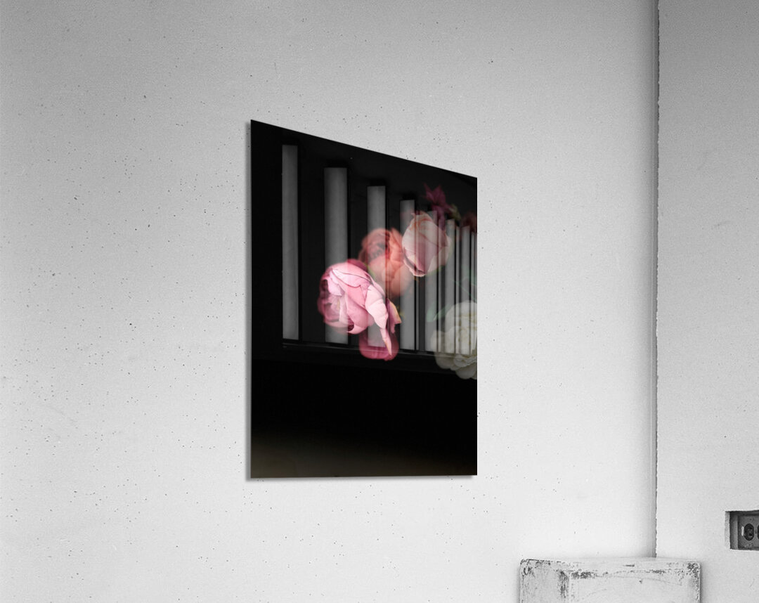 Portrait of Plants- Delicate Fabric Roses Acrylic Print