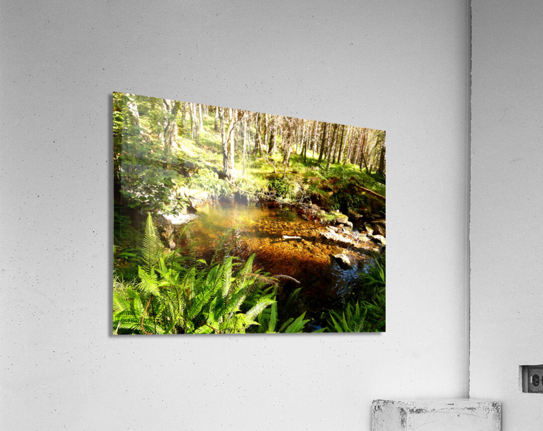 A Secret Summers Retreat in the Scottish Highland Acrylic Print
