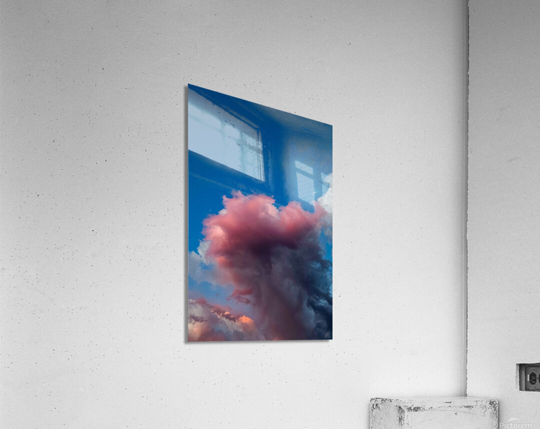 Flying Squid Acrylic Print