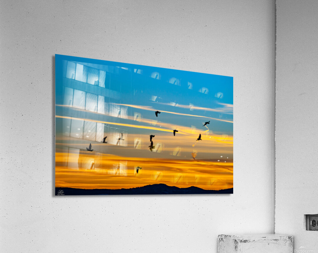 Southbound Acrylic Print